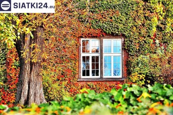 Siatki Chojnów - Dużooczka siatka dla roślin pnących, idealna na altanę, dom czy garaż dla terenów Chojnowa